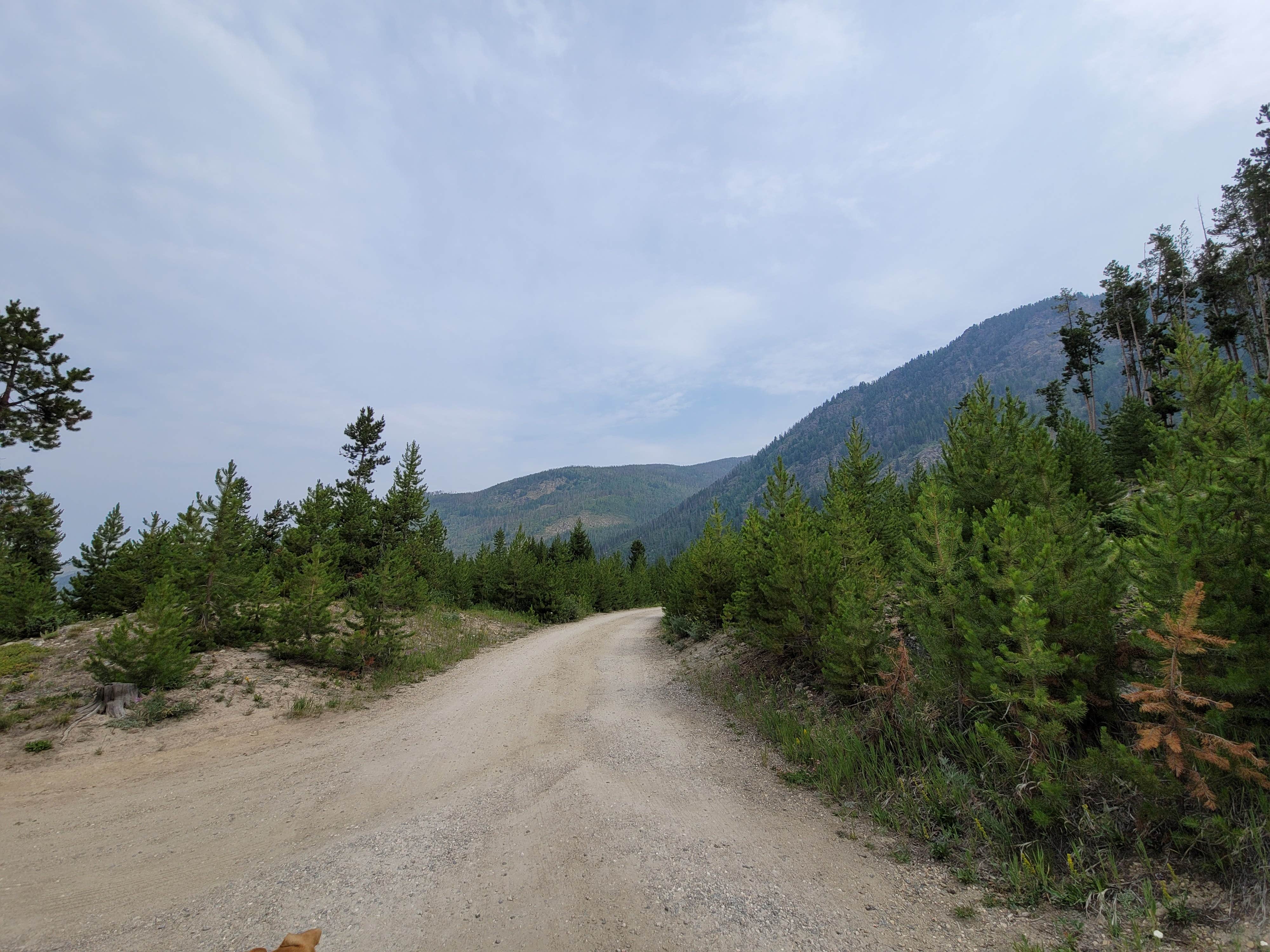 Arapaho Bay Campground The Dyrt