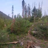 Review photo of Arapaho Bay Campground by Michael J., July 14, 2021