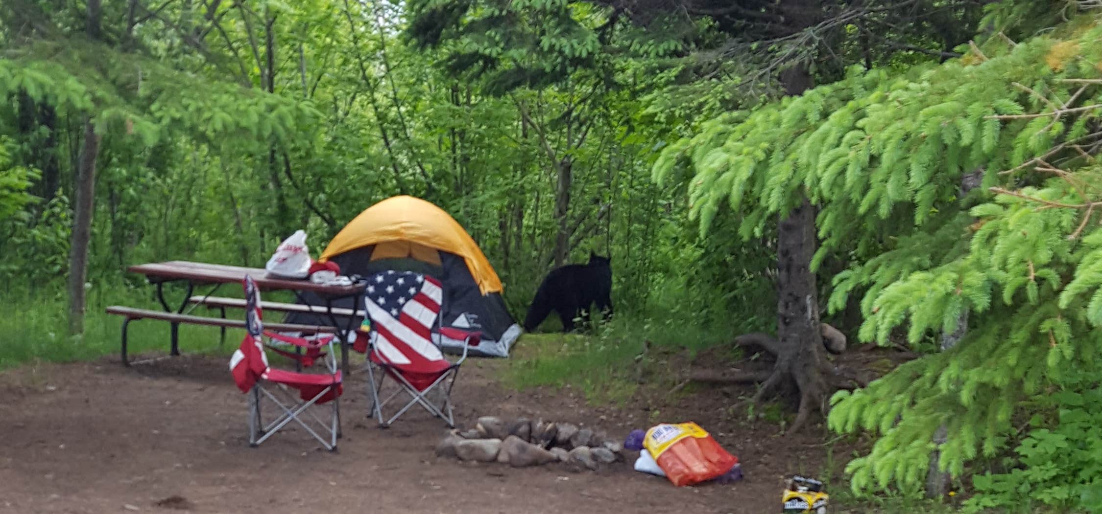 Tom D.'s photo at Lamb's Resort near Lutsen, MN