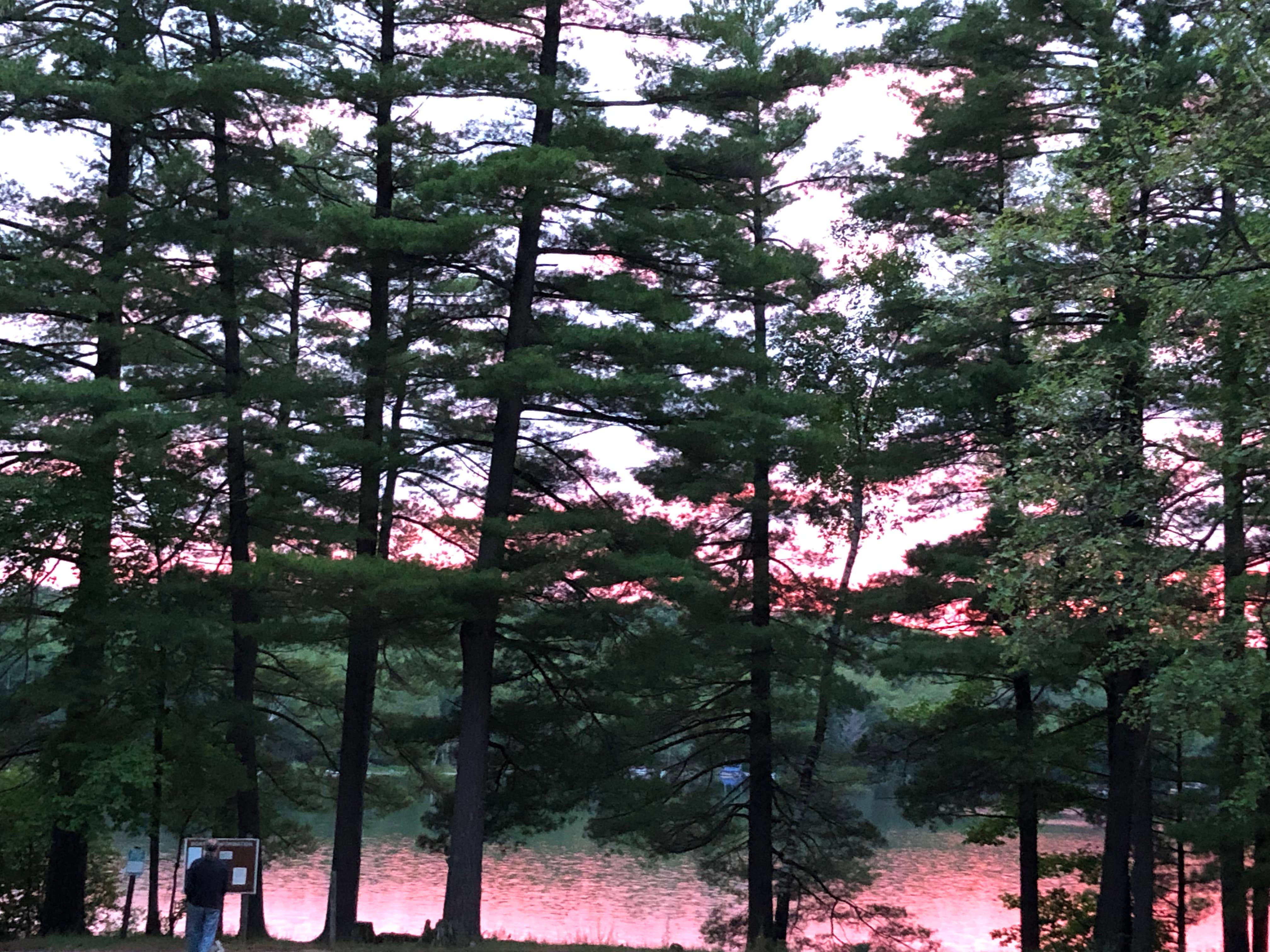 Camper submitted image from Pickerel Lake (Kalkaska) State Forest Campground - 4