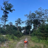 Review photo of Michaux State Forest by Joann&WellsThePup I., July 14, 2021