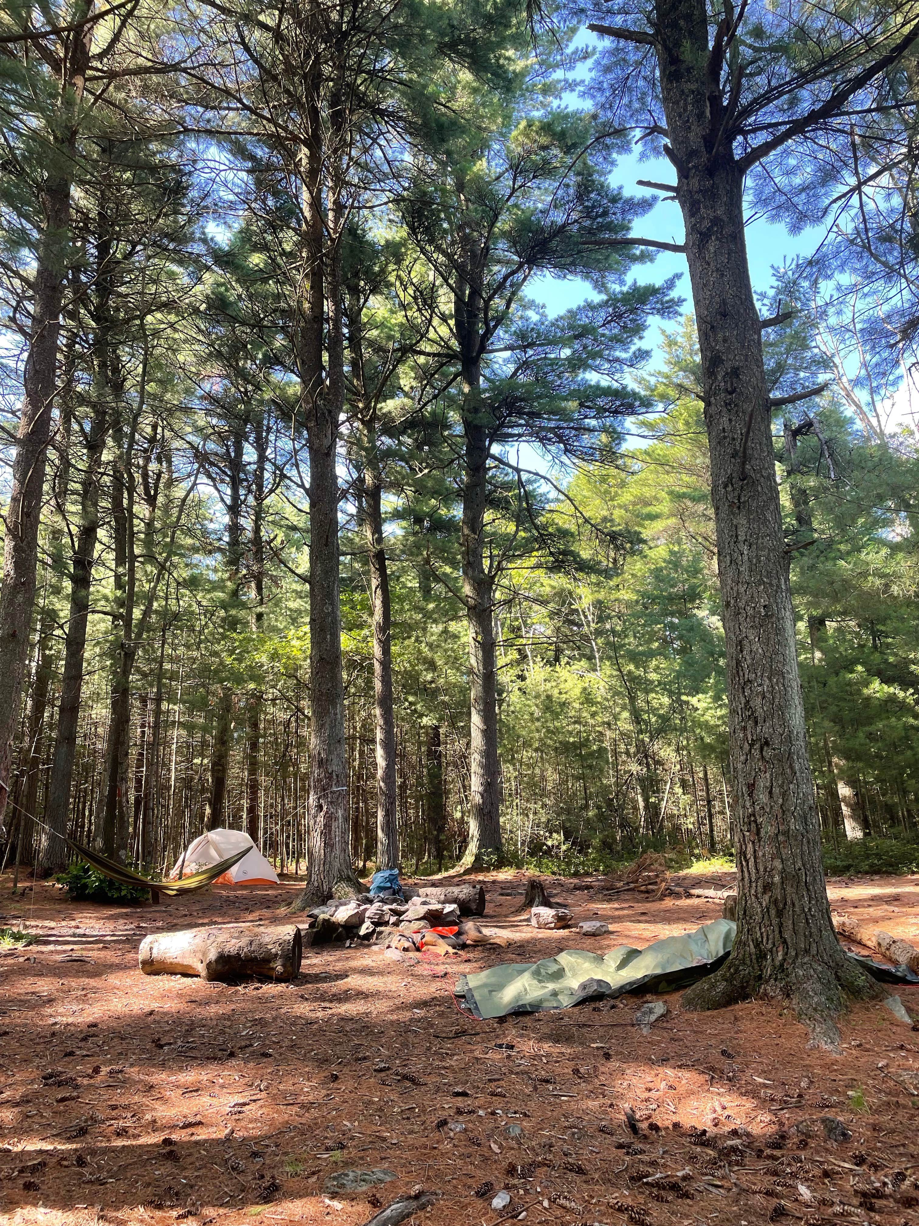 Joann&WellsThePup I.'s photo at North Michaux State Forest Campsites near Greencastle, PA