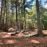 Review photo of Michaux State Forest by Joann&WellsThePup I., July 14, 2021