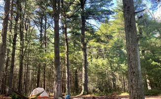 Joann&WellsThePup I.'s photo at North Michaux State Forest Campsites near Fayetteville, PA