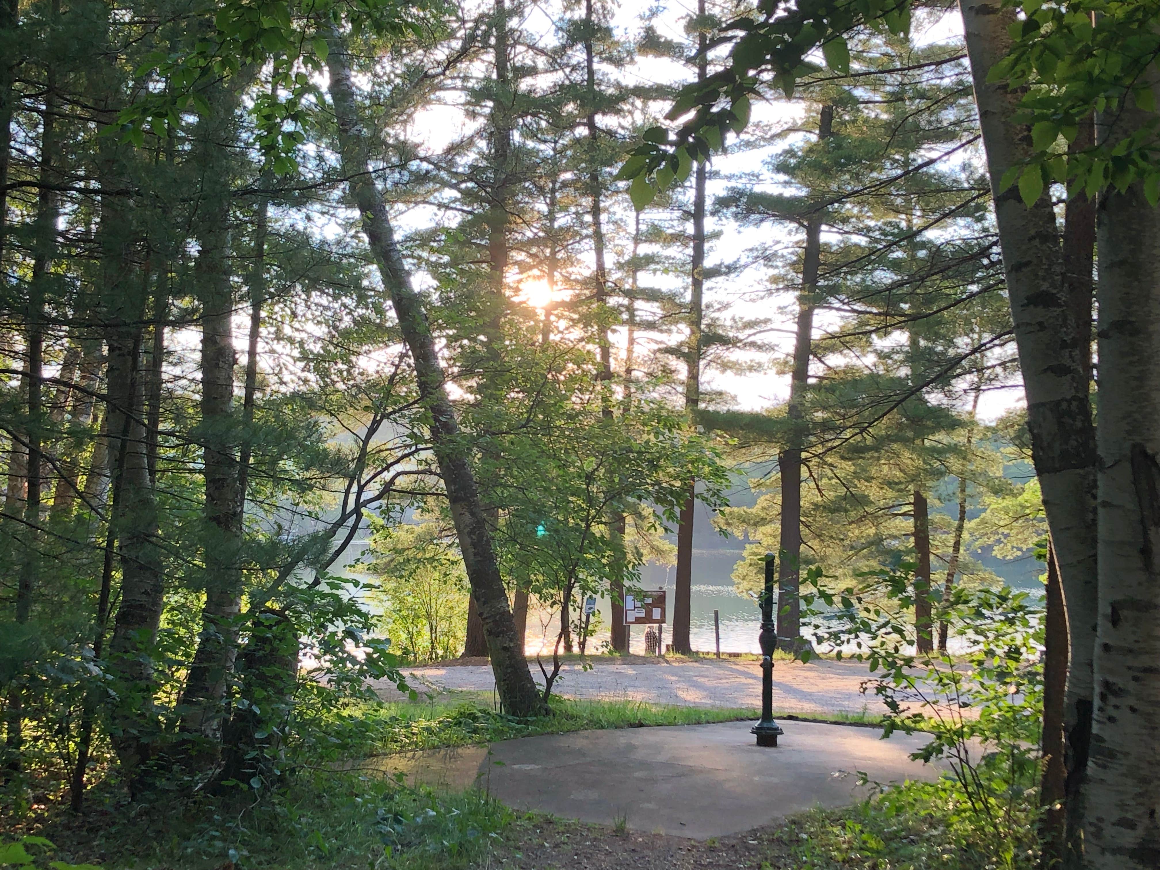 Camper submitted image from Pickerel Lake (Kalkaska) State Forest Campground - 2