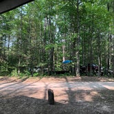 Review photo of Pickerel Lake (Kalkaska) State Forest Campground by Becky K., July 14, 2021