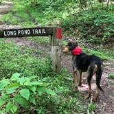 Review photo of Rvino - Ridge Rider Campground, LLC by Joann&WellsThePup I., July 14, 2021