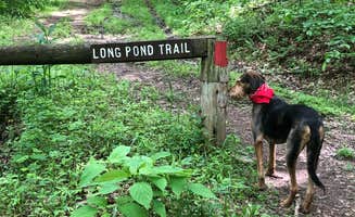 Joann&WellsThePup I.'s photo of camping with pets at Rvino - Ridge Rider Campground, LLC near Cumberland, MD