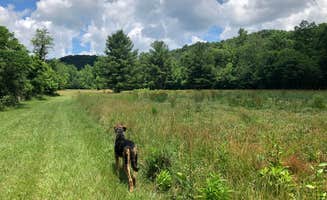 Joann&WellsThePup I.'s photo of camping with pets at Rvino - Ridge Rider Campground, LLC near Frostburg, MD