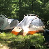 Review photo of Penn Roosevelt State Park Campground by Joann&WellsThePup I., July 14, 2021