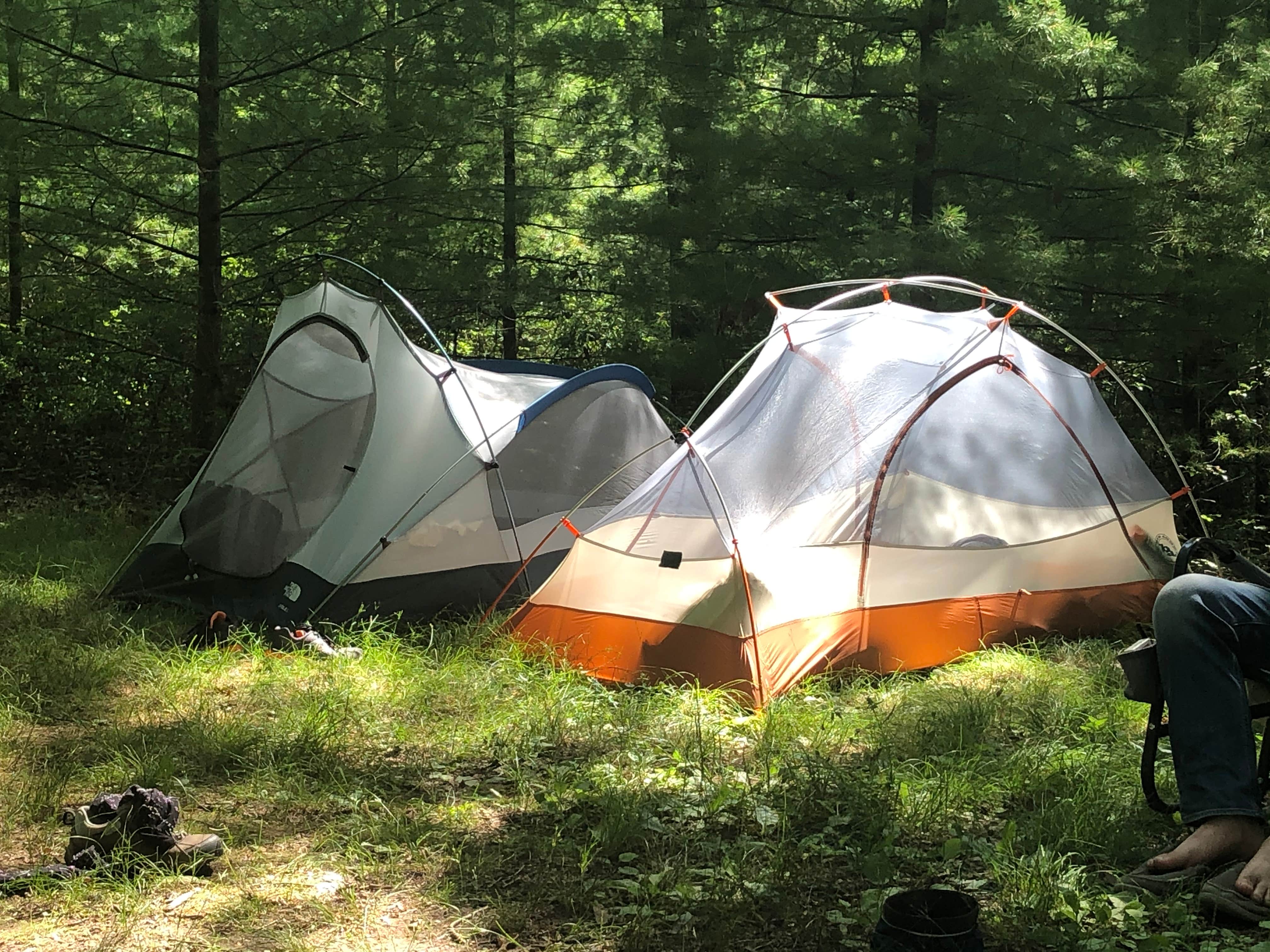Camper submitted image from Penn Roosevelt State Park Campground - 2
