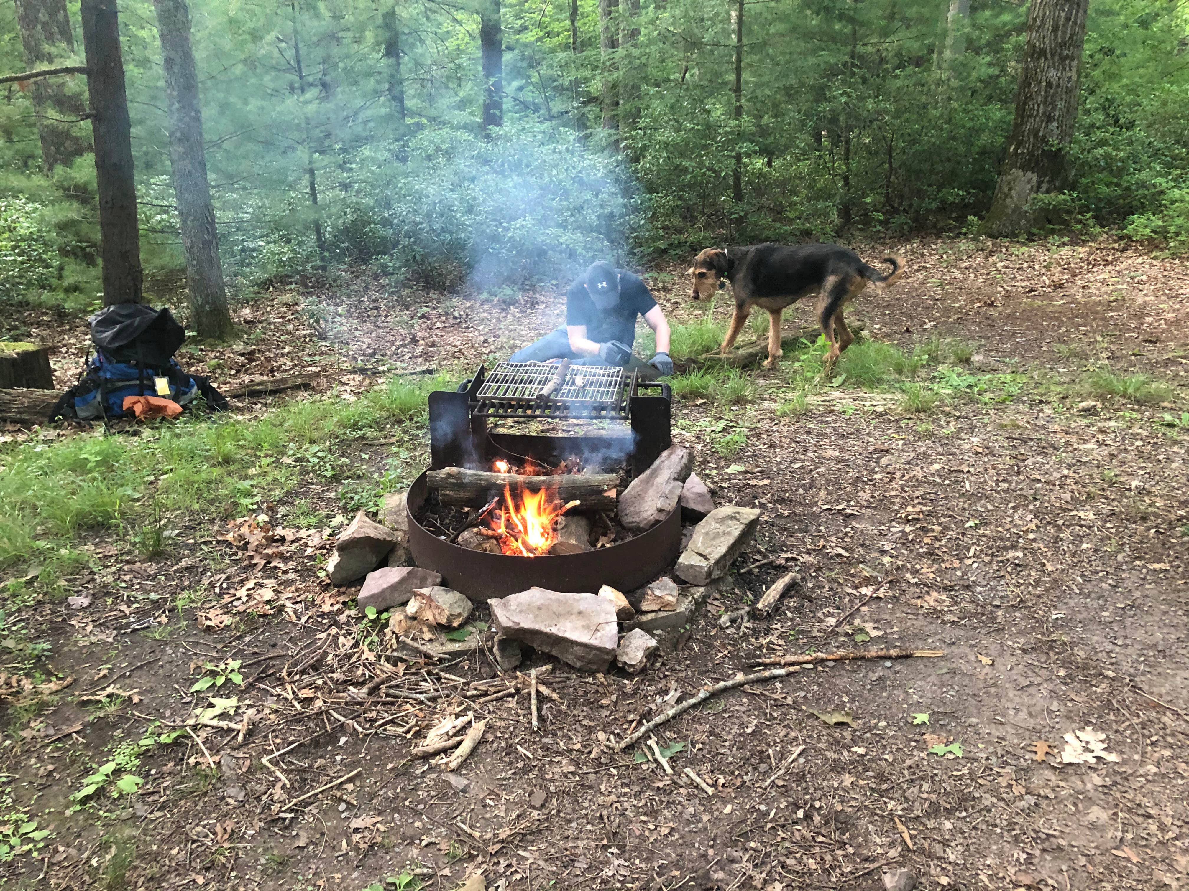 Camper submitted image from Penn Roosevelt State Park Campground - 5