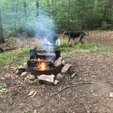 Review photo of Penn Roosevelt State Park Campground by Joann&WellsThePup I., July 14, 2021