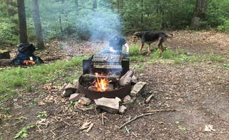 Joann&WellsThePup I.'s photo of camping with pets at Penn Roosevelt State Park Campground near Snow Shoe, PA