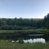 Review photo of Penn Roosevelt State Park by Joann&WellsThePup I., July 14, 2021