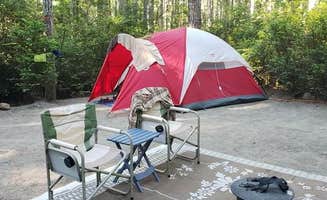 Angie E.'s photo at Scenic Beach State Park Campground near Brinnon, WA