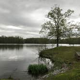 Review photo of Mississippi River State Park Campground by Kathy E., June 13, 2018