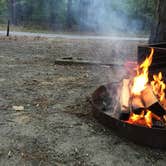 Review photo of Pocomoke River State Park Campground by Shelby B., June 14, 2018