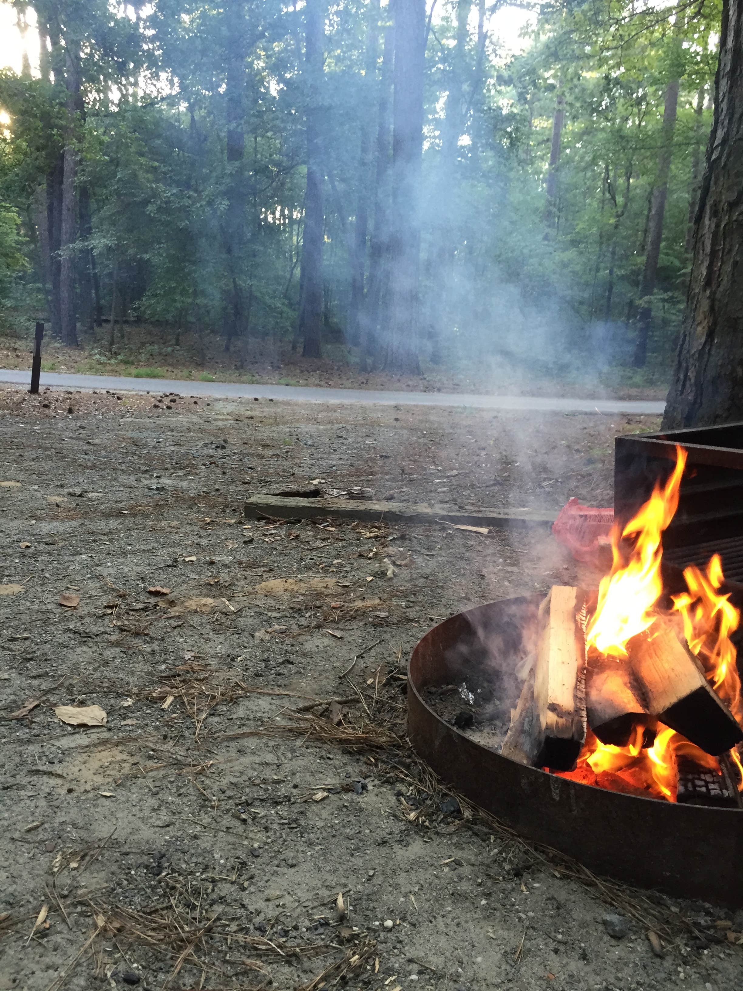 Camper submitted image from Pocomoke River State Park Campground - 2