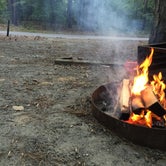 Review photo of Pocomoke River State Park Campground by Shelby B., June 14, 2018