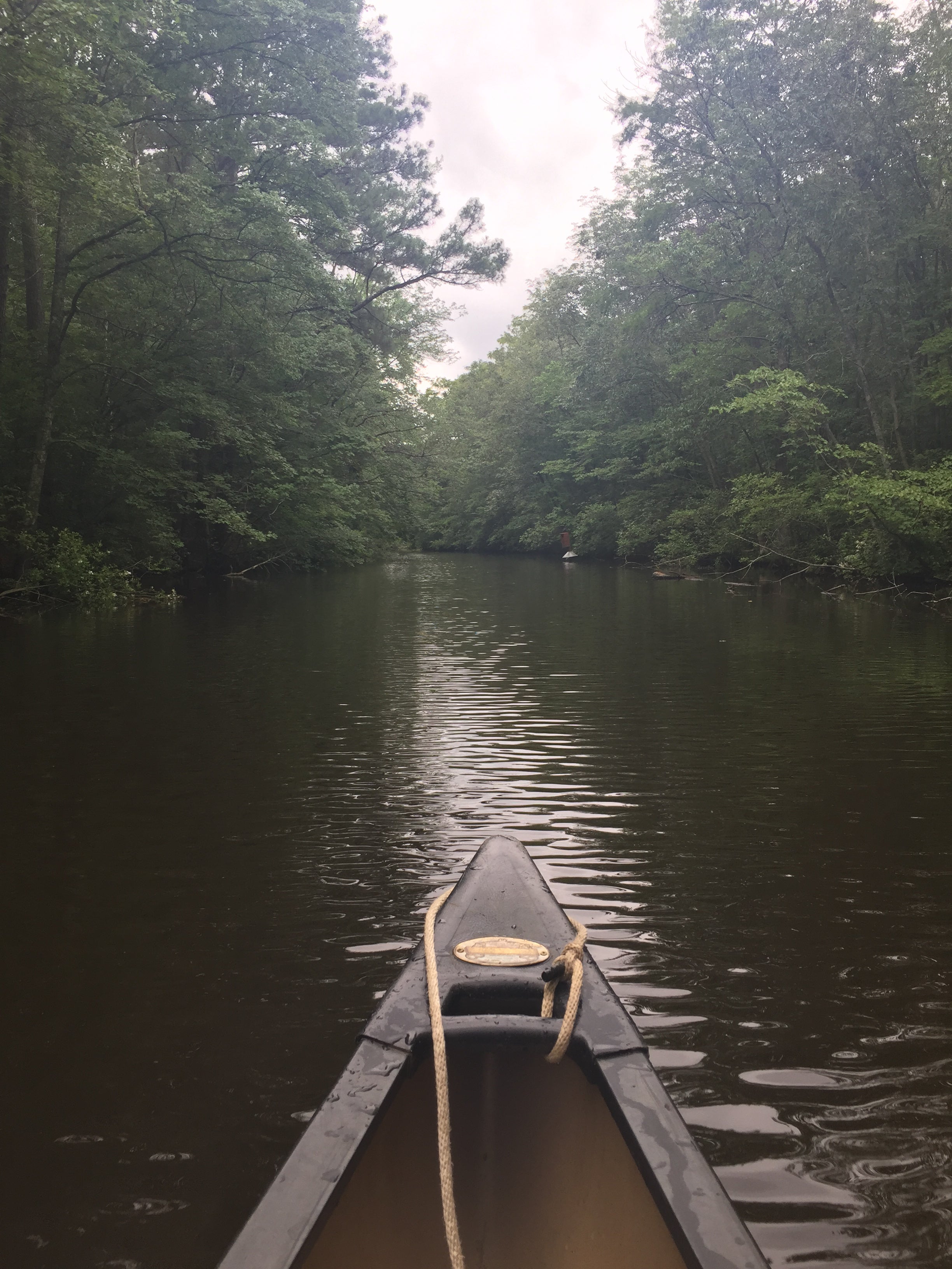 Beautiful and easy canoe trip