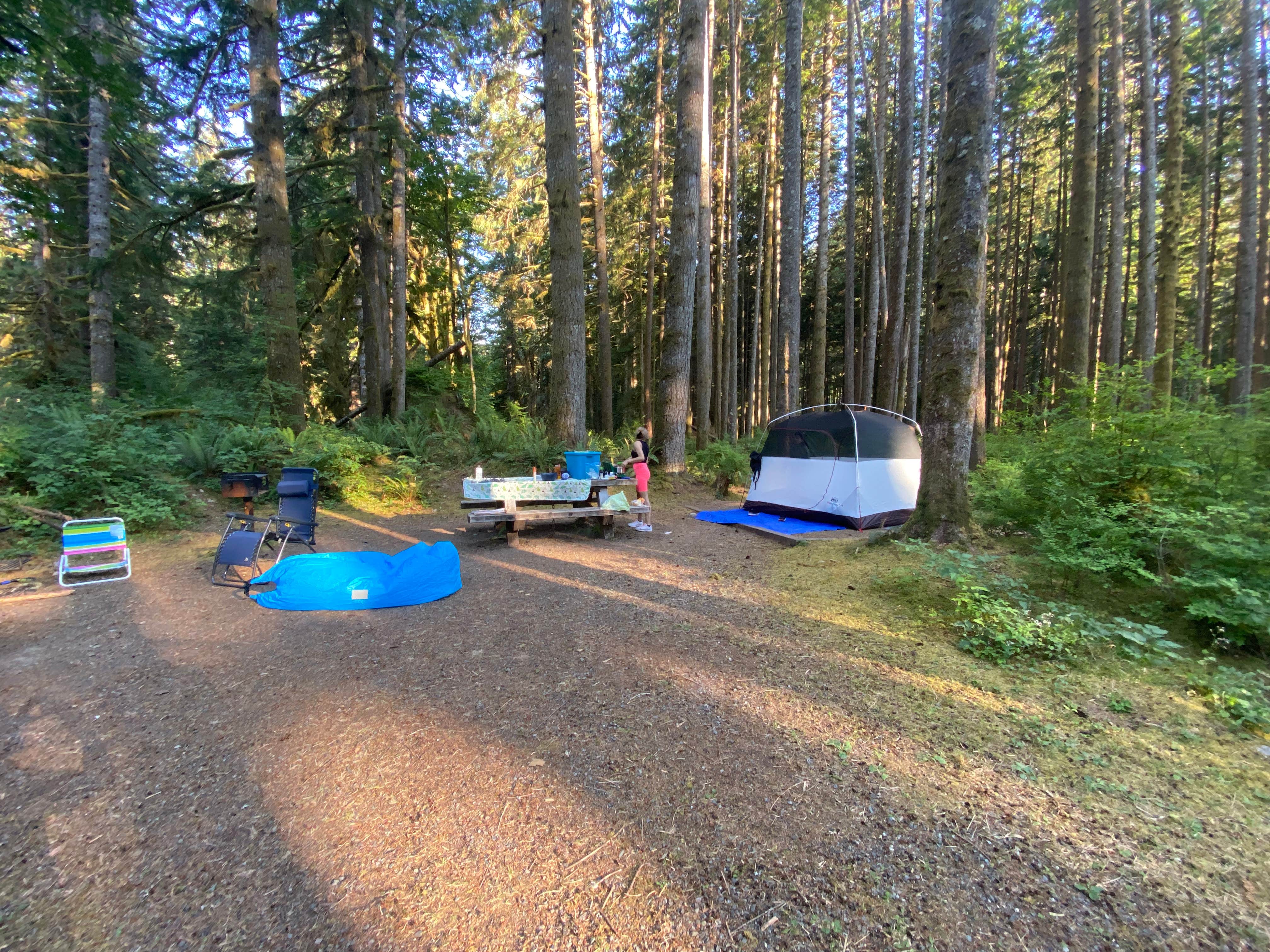 Camper submitted image from Middle Fork Campground - 1