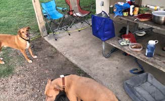 Alexandra's photo of camping with pets at Choke Canyon State Park Campground near Calliham, TX