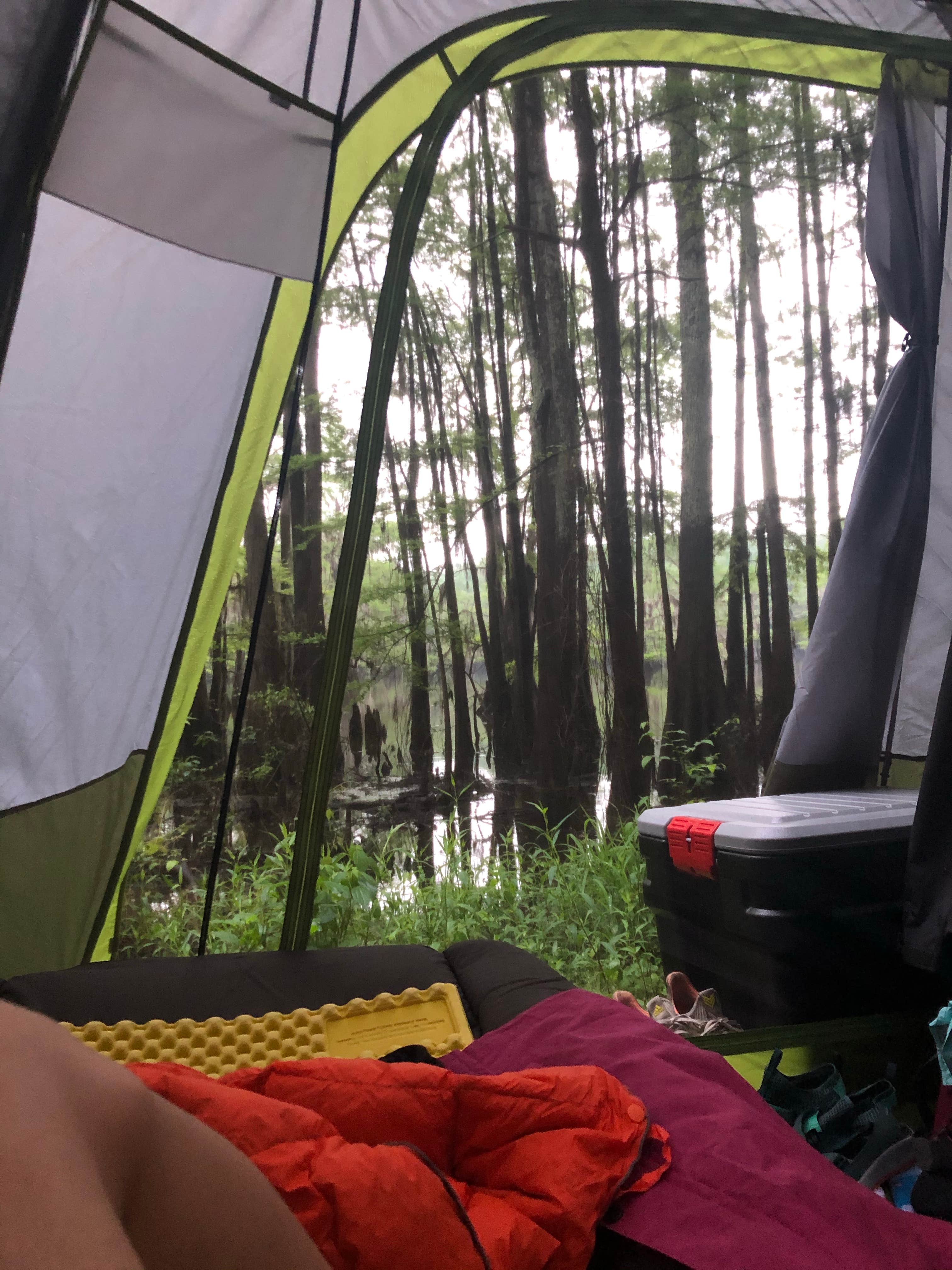 Alexandra's photo at Caddo Lake State Park Campground near Shreveport, LA