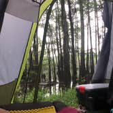 Review photo of Caddo Lake State Park Campground by Alexandra , July 14, 2021