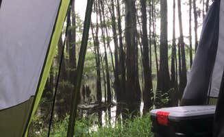 Alexandra's photo at Caddo Lake State Park Campground near Shreveport, LA