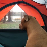 Review photo of Huntsville State Park Campground by Alexandra , July 14, 2021