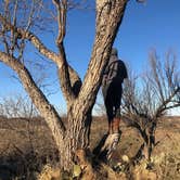 Review photo of River Bend Camping Area — San Angelo State Park by Alexandra , July 14, 2021