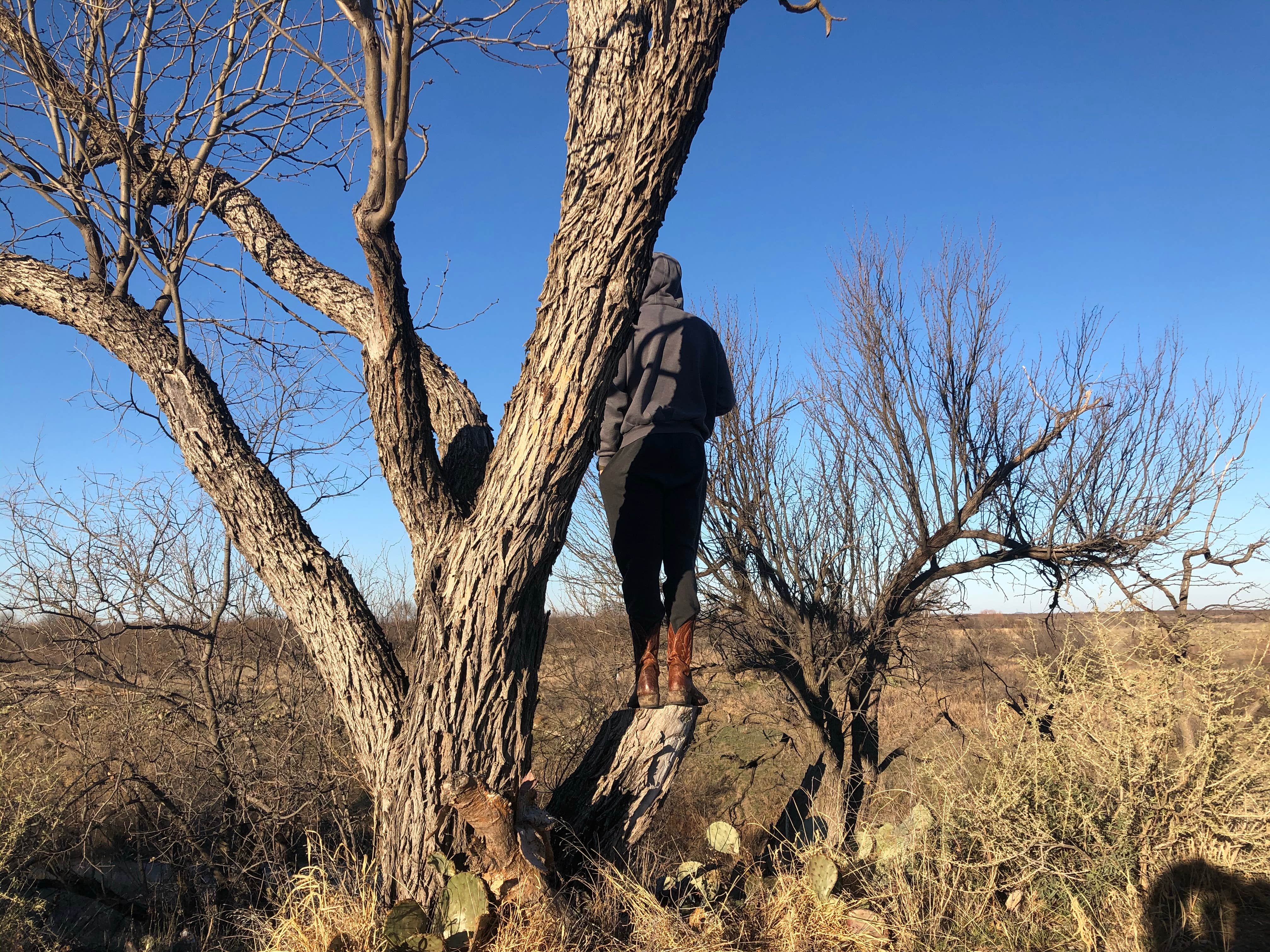 Camper submitted image from River Bend Camping Area — San Angelo State Park - 4