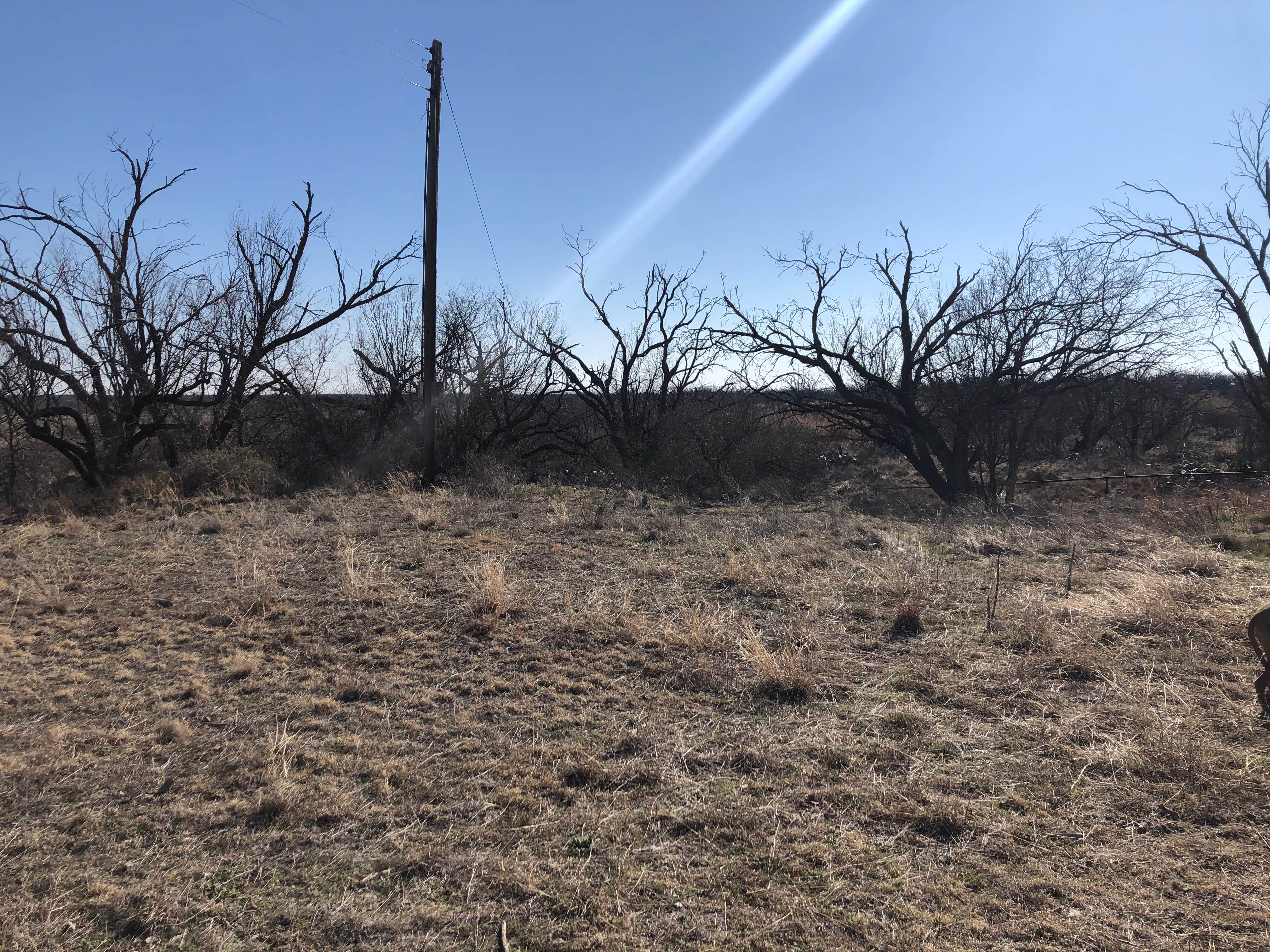 Camper-submitted photo at River Bend Camping Area — San Angelo State Park near O.C. Fisher Lake