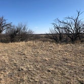 Review photo of River Bend Camping Area — San Angelo State Park by Alexandra , July 14, 2021