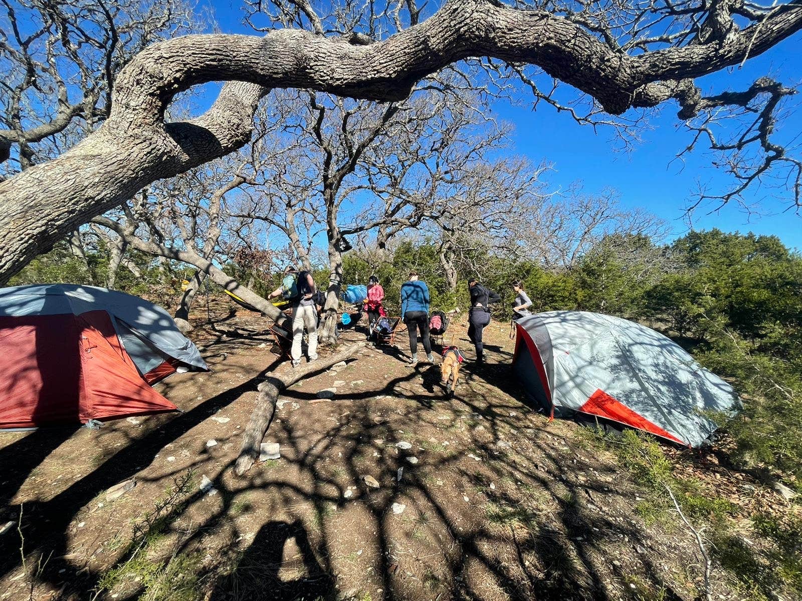 Alexandra's photo at Lost Maples State Natural Area Campground near Mountain Home, TX