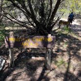 Review photo of Lost Maples State Natural Area by Alexandra , July 14, 2021