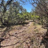 Review photo of Lost Maples State Natural Area by Alexandra , July 14, 2021