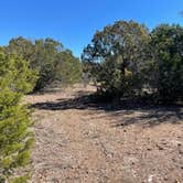 Review photo of Lost Maples State Natural Area by Alexandra , July 14, 2021