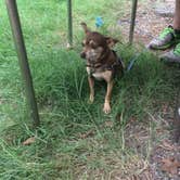 Review photo of Inks Lake State Park Campground by Ruth  P., June 13, 2018