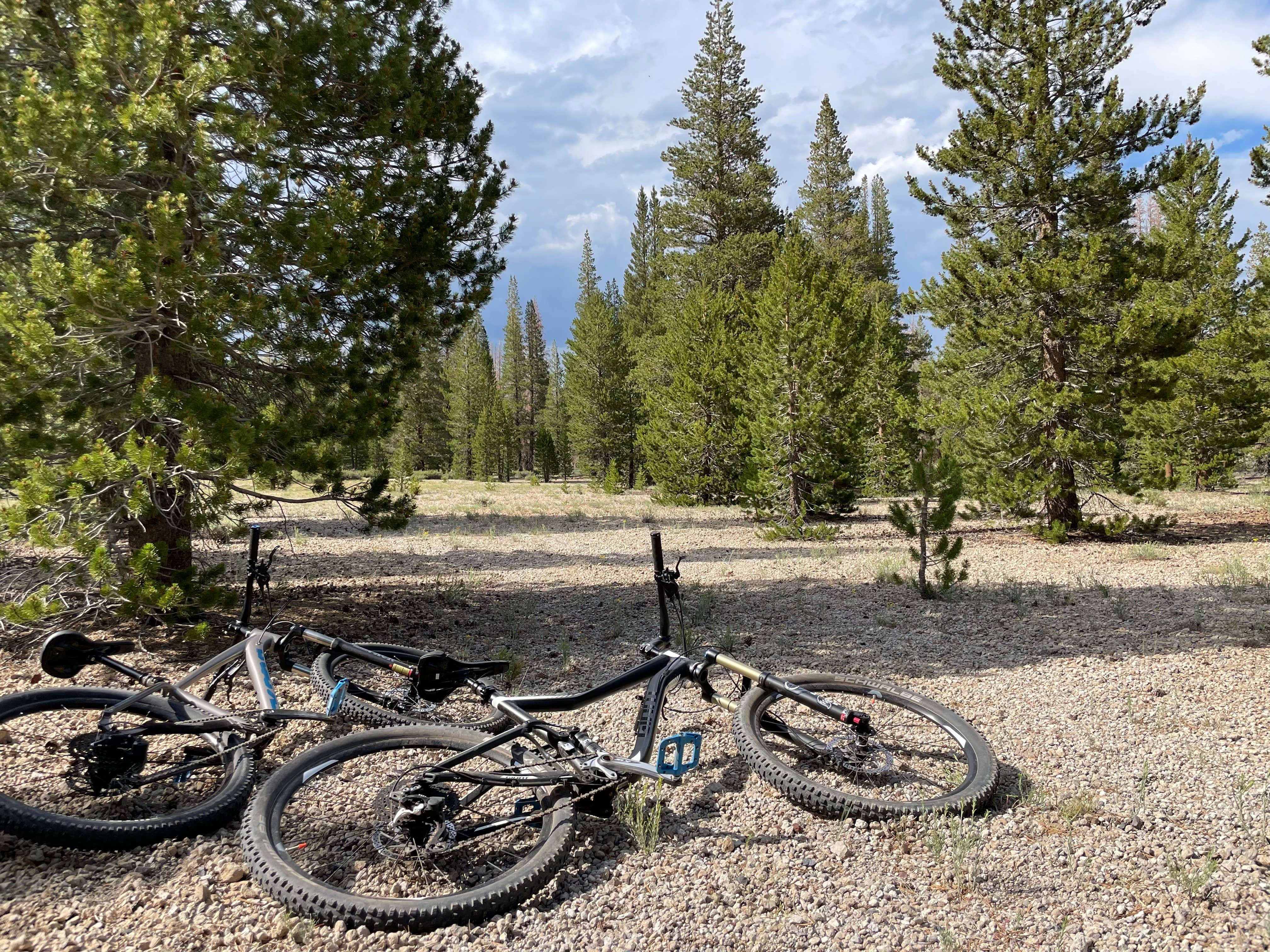 Camper submitted image from Inyo National Forest Dispersed Camping - 5