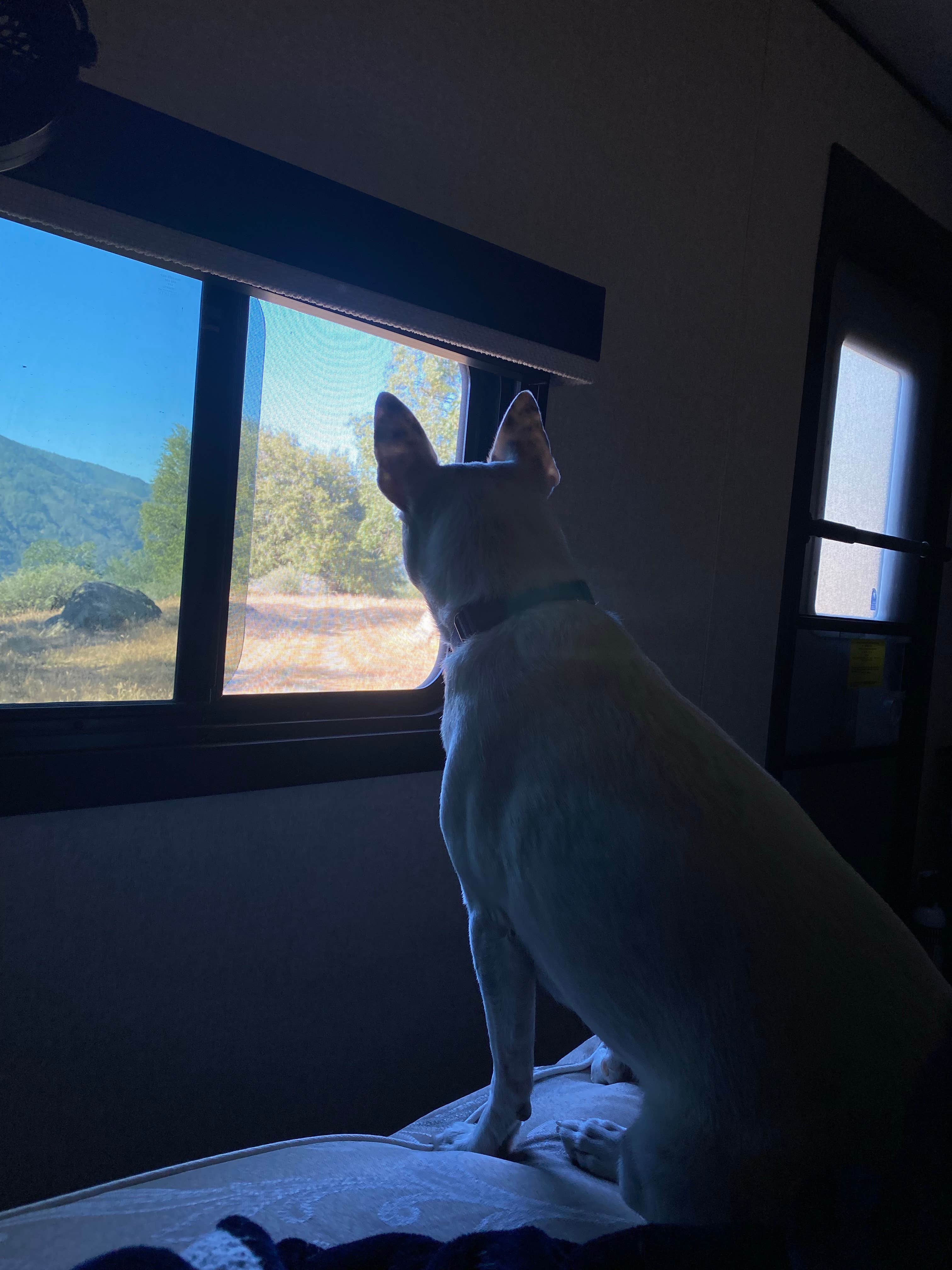 Camper-submitted photo at Alder Creek Camp near Fort Hunter Liggett, CA