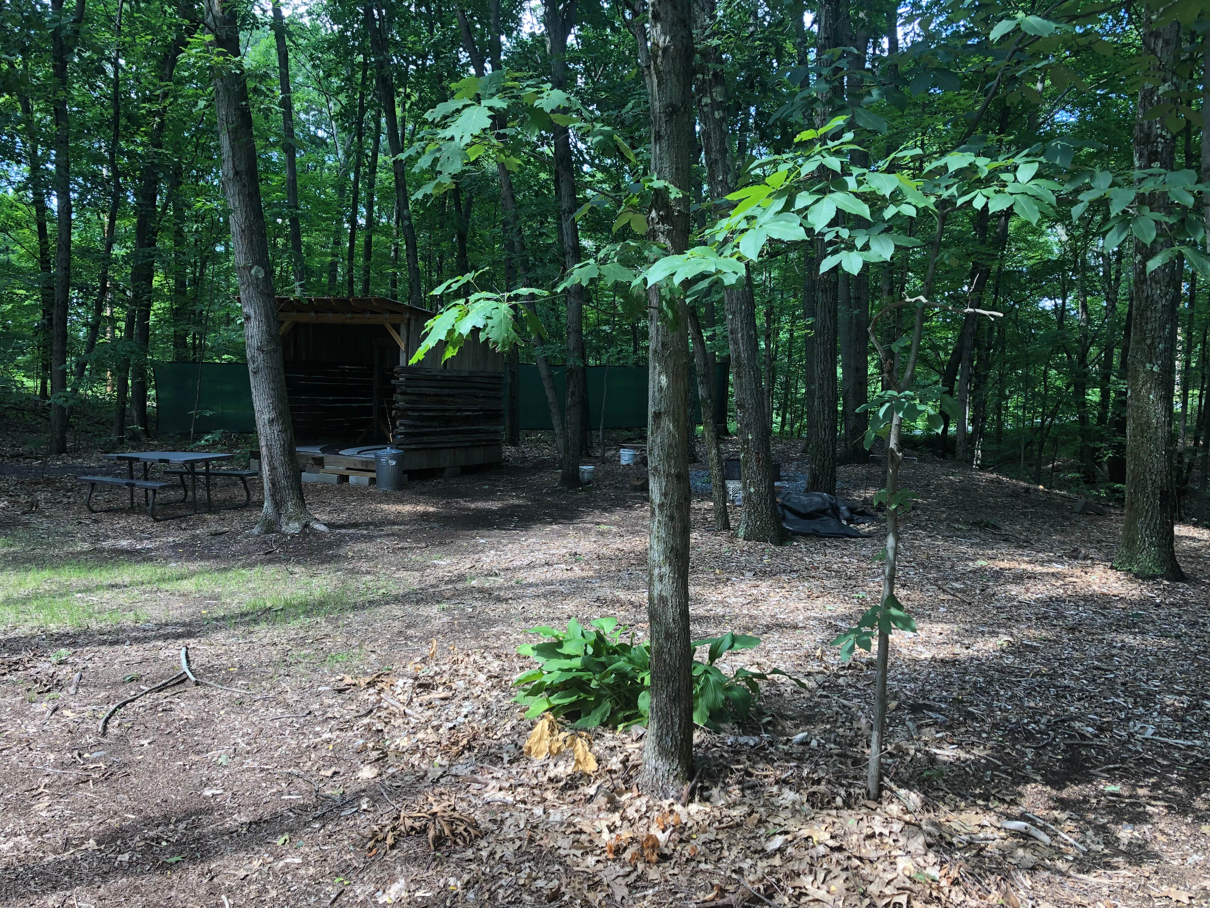 Camper-submitted photo at Rustic Lean-To near Ashley Falls, MA