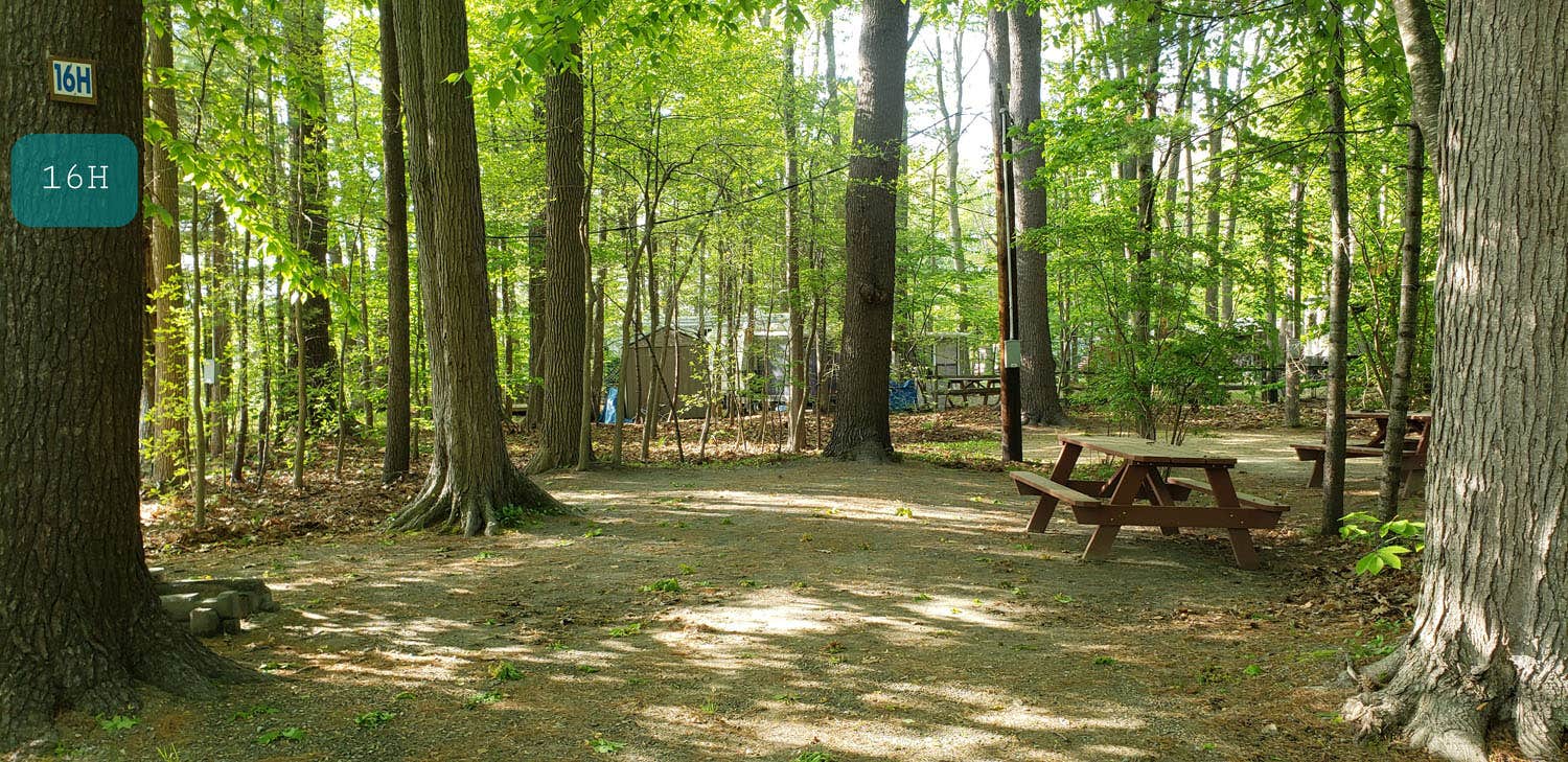 Escape to Paradise: Your Guide to New Hampshire's Tidewater Campground