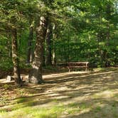 Review photo of Tidewater Campground by Jean C., July 15, 2021