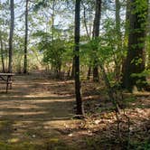 Review photo of Tidewater Campground by Jean C., July 15, 2021