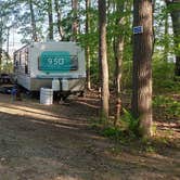 Review photo of Tidewater Campground by Jean C., July 15, 2021