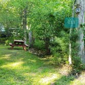 Review photo of Tidewater Campground by Jean C., July 15, 2021