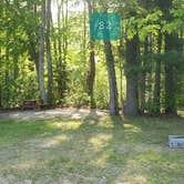 Review photo of Tidewater Campground by Jean C., July 15, 2021