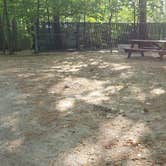 Review photo of Tidewater Campground by Jean C., July 15, 2021